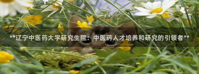 九游J9官方网站