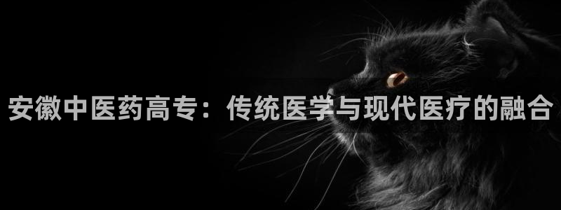 ag亚洲国际游戏九游会