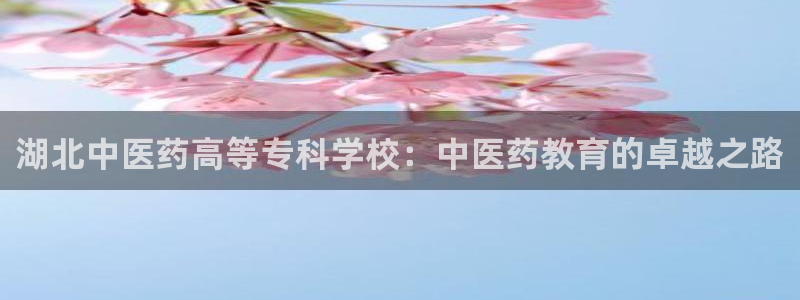 九游会官方网站登陆