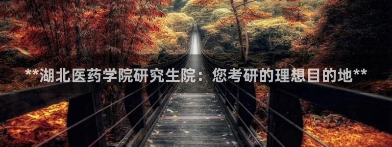 九游会网址入口