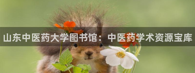 j9九游会最新官网