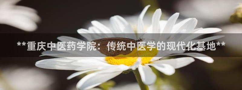 九游会是什么平台