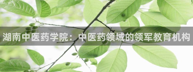 九游会ag318