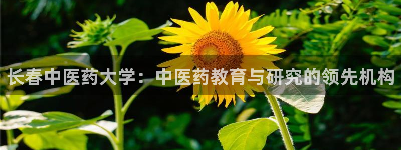 九游会j9官网