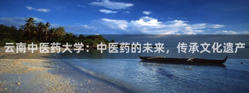 ag改九游会