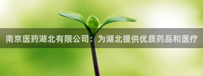 j9九游会官网入口