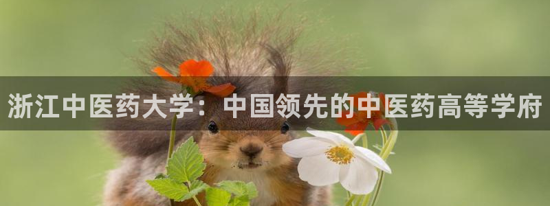 九游会官网老哥俱乐部