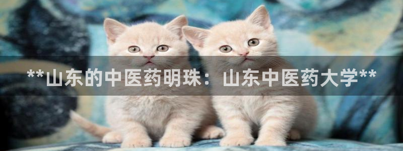 九游会app官方