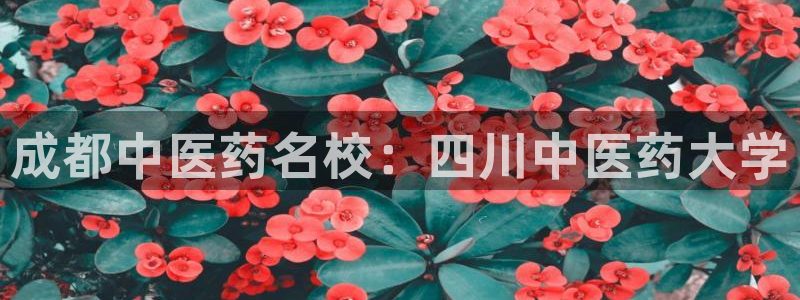 九游会ag亚洲