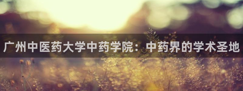 九游会ag平台