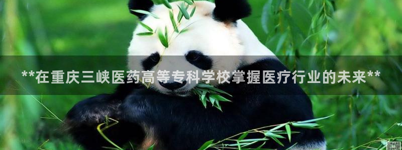 ag九游会登入