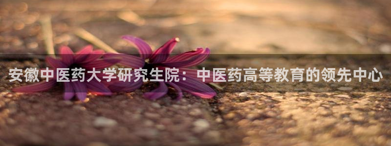 9游会app