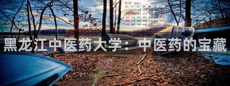 j9九游会老哥俱乐部交流区