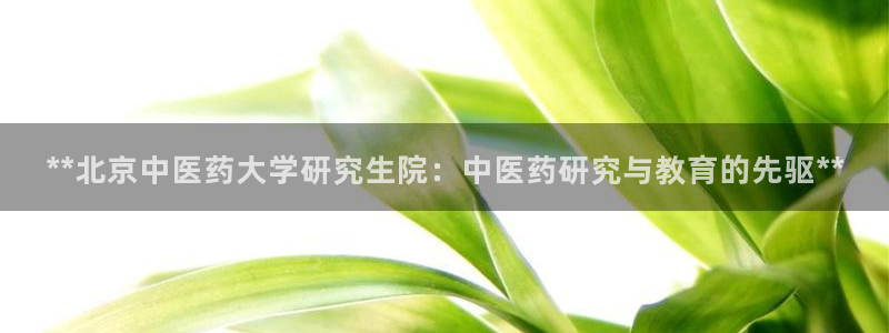 ag久游