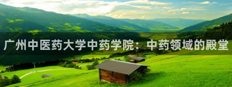 j9363九游会