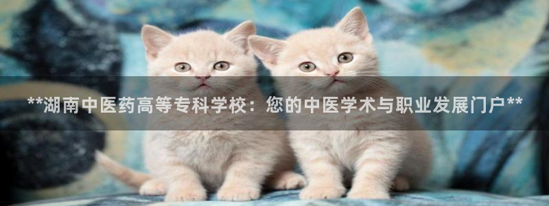 9游会官方网站