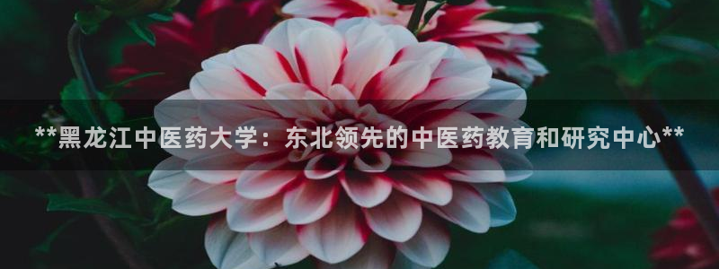 九游会提款安全吗