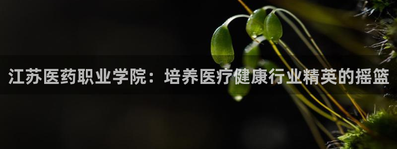 j9官网平台