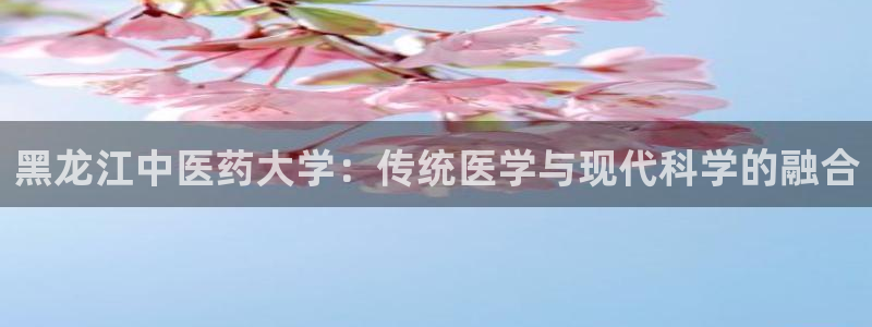 九游会官网进入