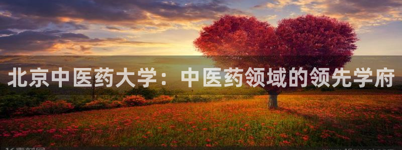 J9九游会官网app