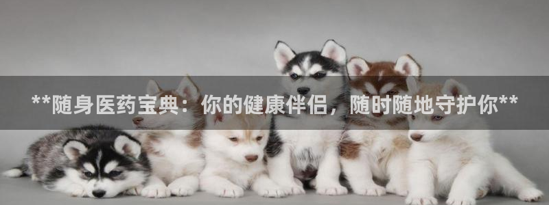 j9九游会真人手机版