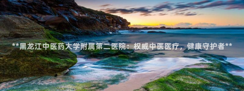 九游会集团货币