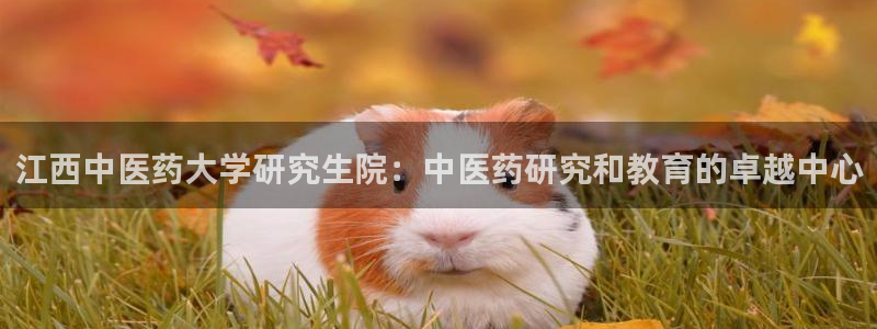 九游会网址最新