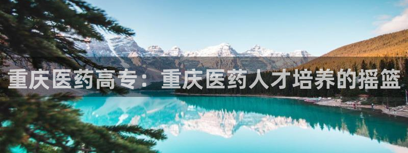 9游会登录地址