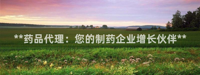j9九游会游戏