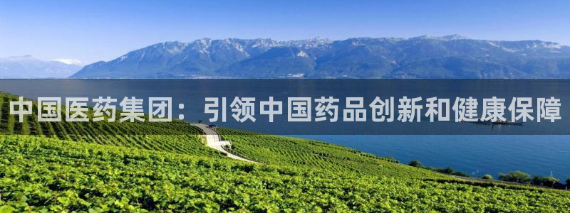 j9九游会怎么样