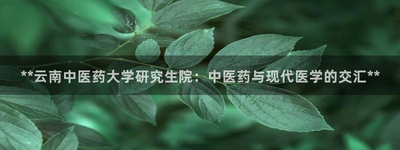 ag九游会老哥