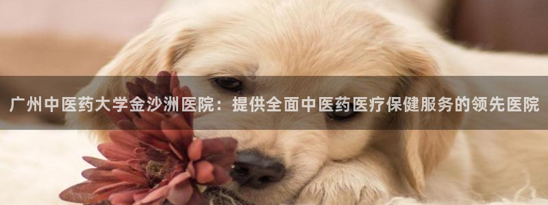 九游会官网首页进入吗