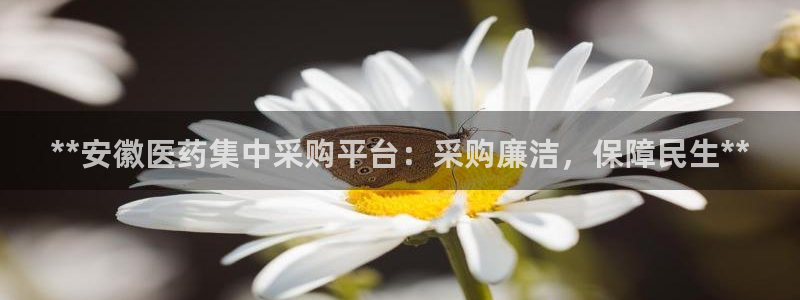 九游会ag网址大全专业版