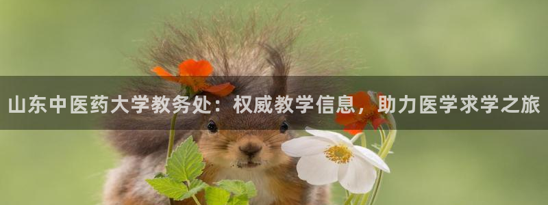 J9九游会登陆
