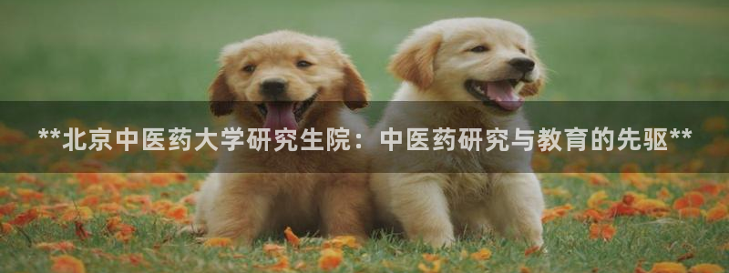 九游老哥俱乐部官方网站