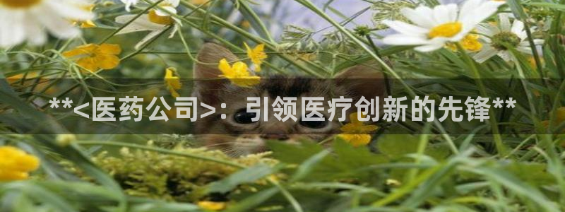 九游会平台怎么样