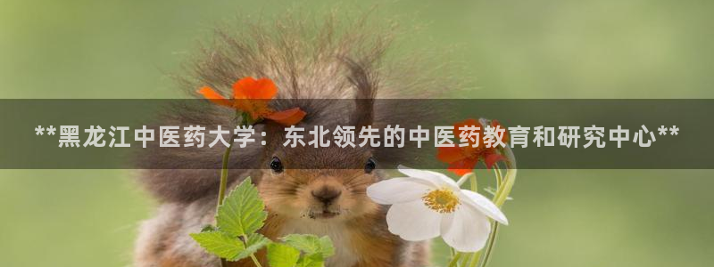 九游会ag真人官网