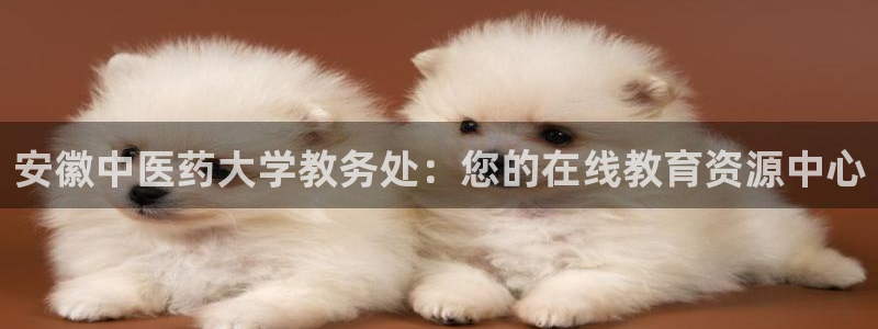 九游会贴吧