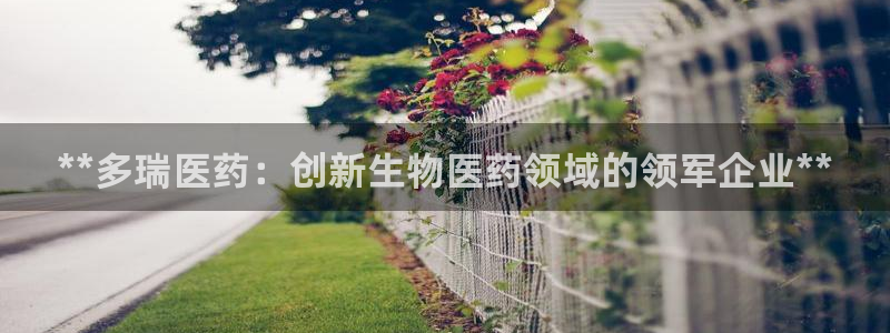 九游会ag官方网站在哪