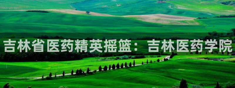 九游会登录网站吗