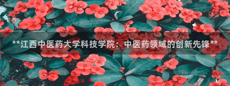 九游会是ag吗