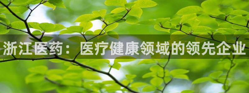 ag九游网