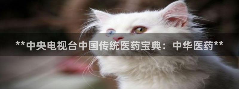 登陆九游会