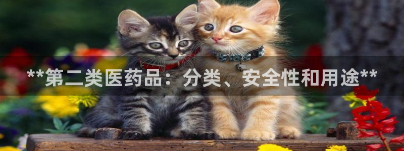 九游会提款安全吗