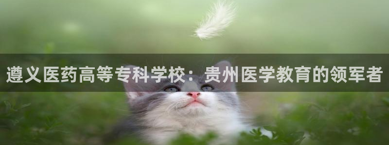 九游会AG登录