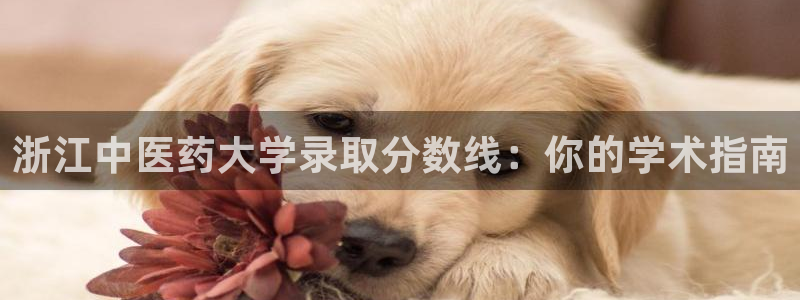 九游会视讯,九游会视讯厅