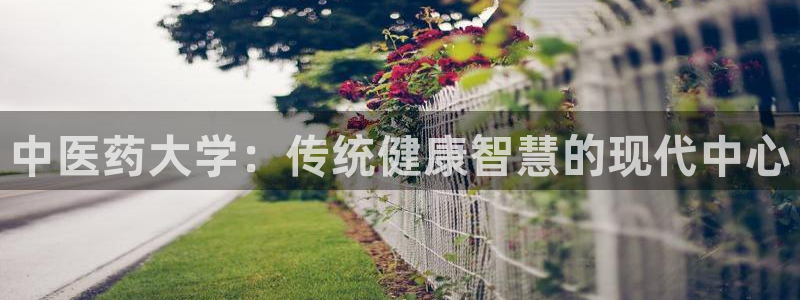 j9官网豪华游