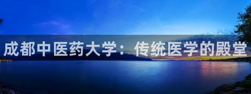 J9九游会九游国际版