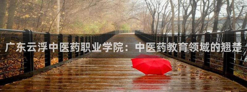 j9九游会游戏中国官方网站