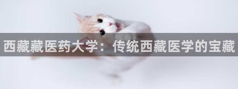 九游会官方在线平台
